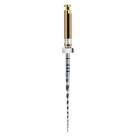 Протейпер машинный Pro-Taper Universal S2 25мм (6 шт) Maillefer